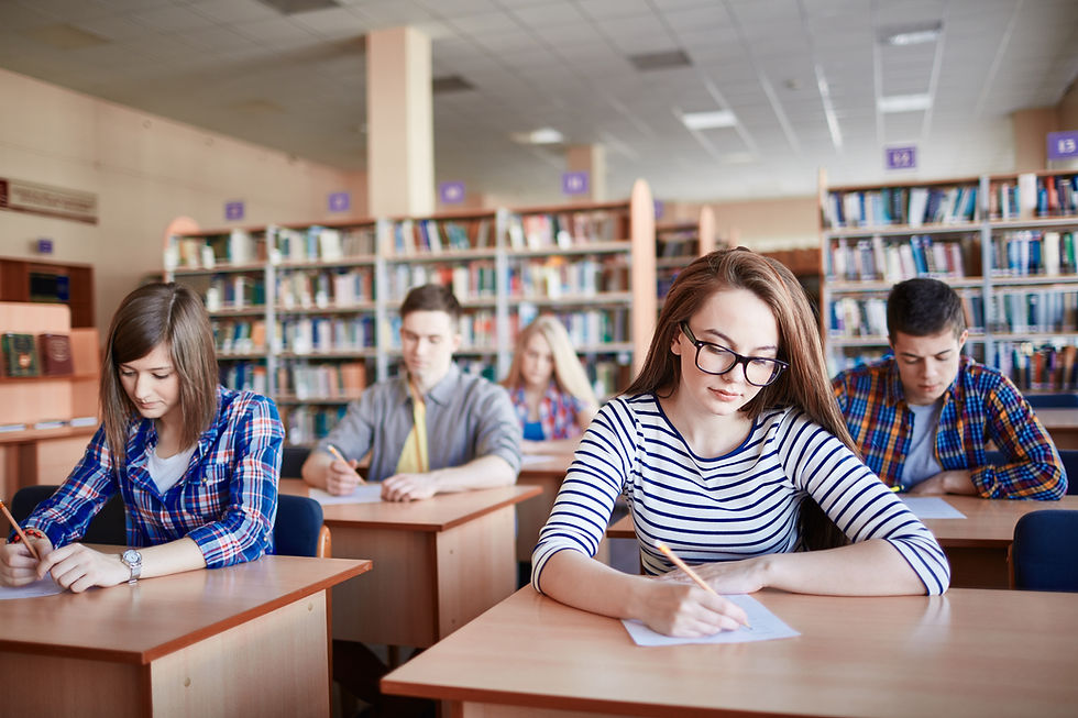 Local school search